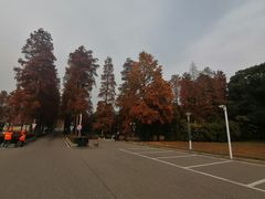 -东湖磨山景区