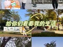 -长洲岛
