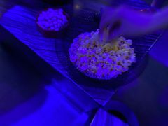 -魅KTV(北京望京万科时代中心店)
