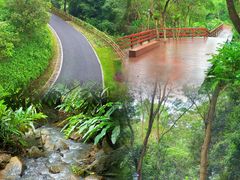-阳台山森林公园