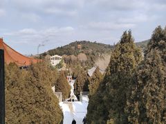 -龙口南山旅游景区
