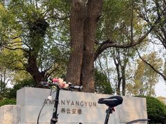 -养云安缦·廊
