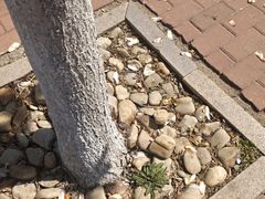 -山东大学(兴隆山校区)