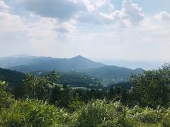 -武陵山森林公园