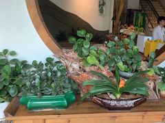 -茶油香闽南菜·花园餐厅(前埔店)