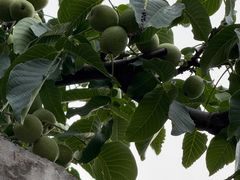 -仁和公园(顺义区)