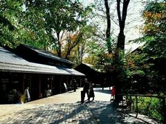 -轻井泽王子购物广场