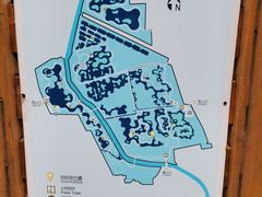 -东郊湿地公园