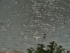 -渤公岛生态公园