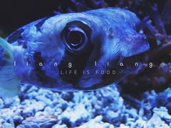 -华夏文旅西安度假区