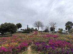 -东莞植物园