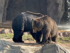 -海南热带野生动植物园
