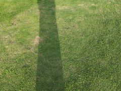 -姐夫家·沈阳黏糊麻辣拌·拌鸡架·冷面(南头古城店)