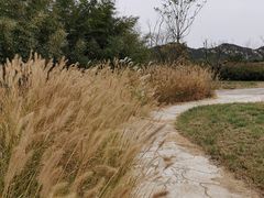 -西海岸生态观光园