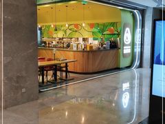 -油梨树AVOCADO TREE(望京店)