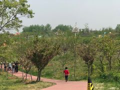 -红山体育乐园