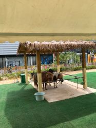 -萌宠亲子动物乐园(槐房万达店)