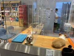 -狗道宠物(常熟印象城店)