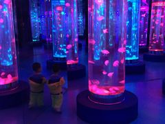 -梦幻海洋王国(吾悦广场张家港店)