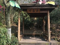 -天目湖山水园