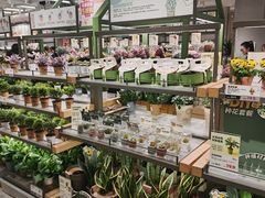 -鹿岛生活(熙地港店)