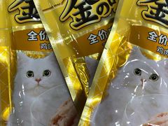 -宠颐生动物医院·小陆分院