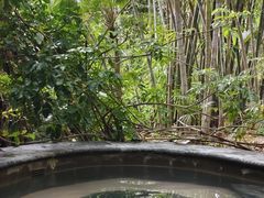 -荷花温泉
