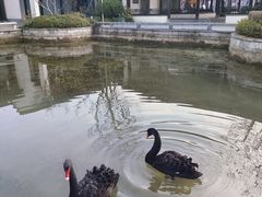 -雅达·阳羡溪山小镇中心