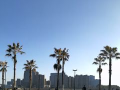 -金沙湖公园