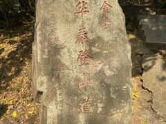 -紫金山山顶公园