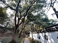 -上海佘山国家森林公园天马山园