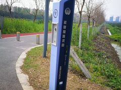 -上海长兴岛郊野公园