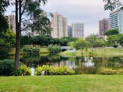 -四海公园(南山区)