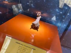 -紫金山天文台
