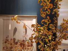 -LE SAPHIR 莎菲尔菓子(和兴店)