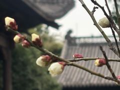 -钱王祠