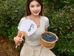 -成都安仁福朋喜来登酒店