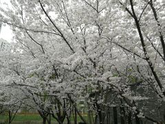 -白塘生态植物园