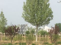 -圣露庄园·草坪婚礼·宴会厅·会议