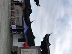 -林屋梅海青梅保护基地