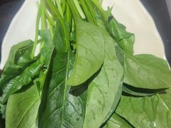 -芦月轩羊蝎子(劲松店)