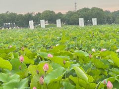 -嘉北郊野公园