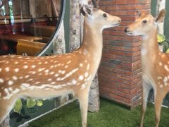 -宁波鄞州万达广场