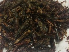 -溢心园香河肉饼总店