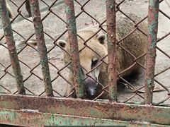 -合肥野生动物园