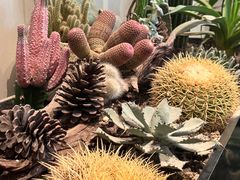 -J Create城市露营咖啡·简餐·宠物(上海动物园店)