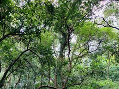 -杭州花家山庄