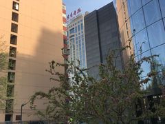 -北京青年报社