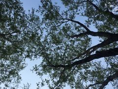 -青州市云门山风景区