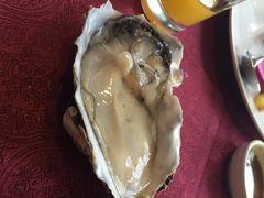 摩登克斯酒店无国界自助餐厅-御膳私房菜·现代粤菜·高空城景宴会厅(罗湖万象城店)